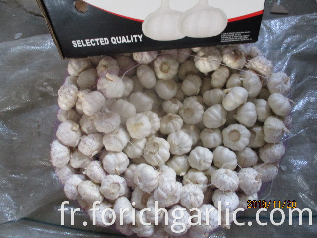 2019 Best Quality Pure White Garlic